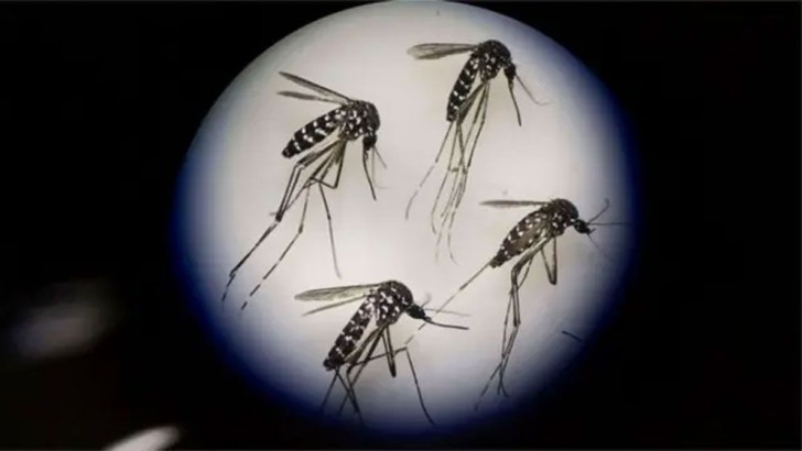 ছবি: সংগৃহিত