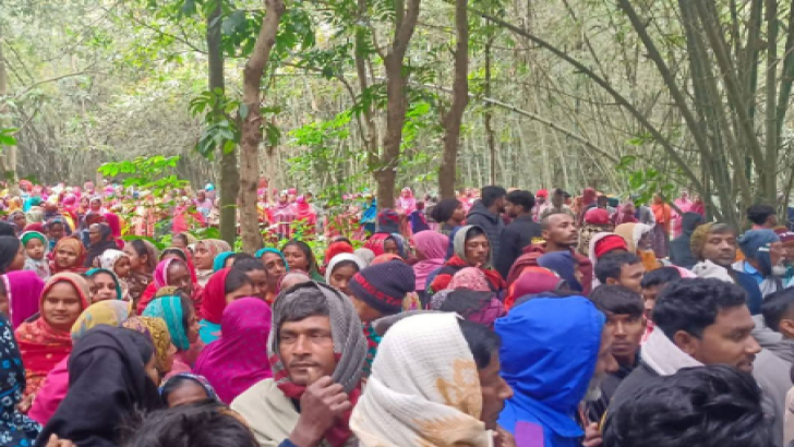 ছবি: সংগৃহীত