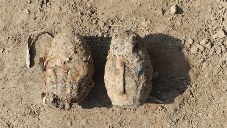 ছবি: নিউজ এক্সপ্রেস