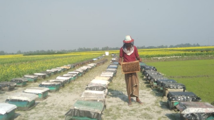 ছবি: সংগৃহীত