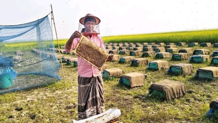 ছবি: সংগৃহীত