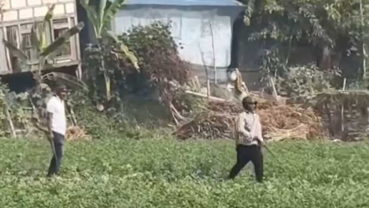 ছবি: সংগৃহীত