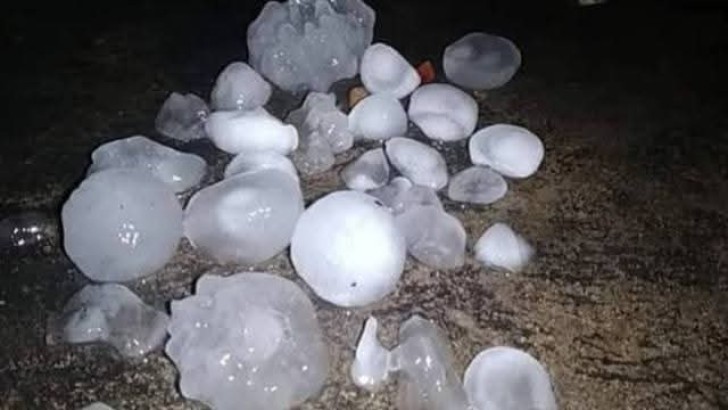 ছবি: নিউজ এক্সপ্রেস