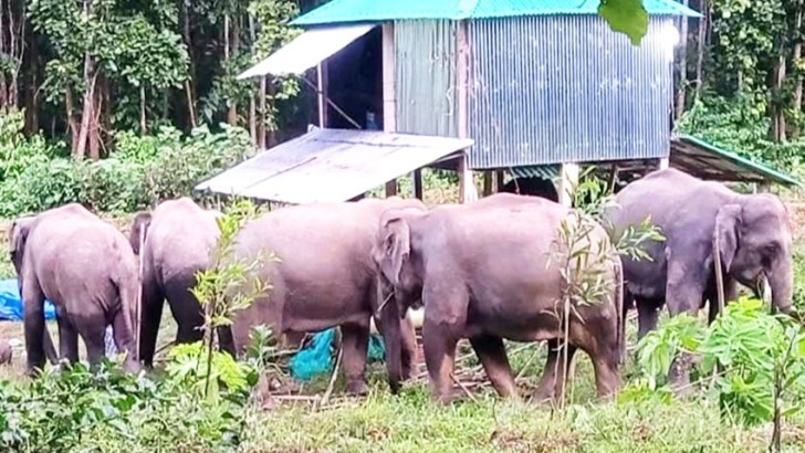 ছবি: নিউজ এক্সপ্রেস