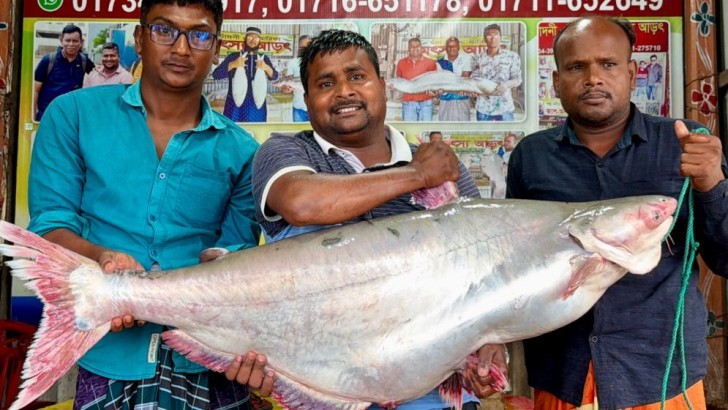 ছবি: সংগৃহীত