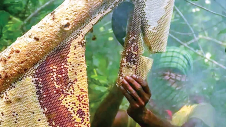 ছবি: সংগৃহীত