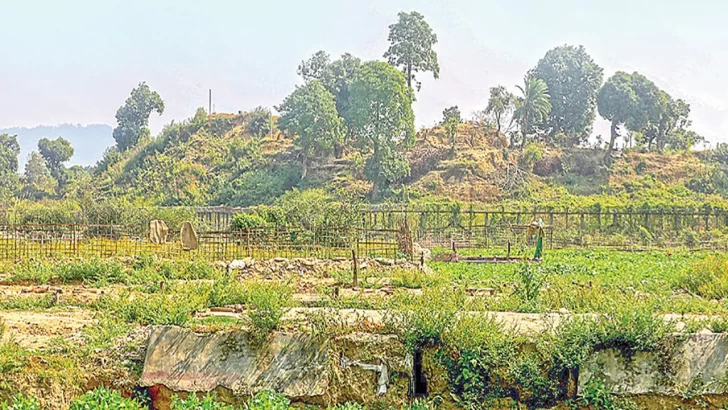 ছবি: সংগৃহীত