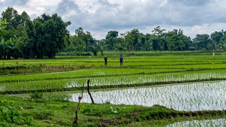 ছবি: নিউজ এক্সপ্রেস