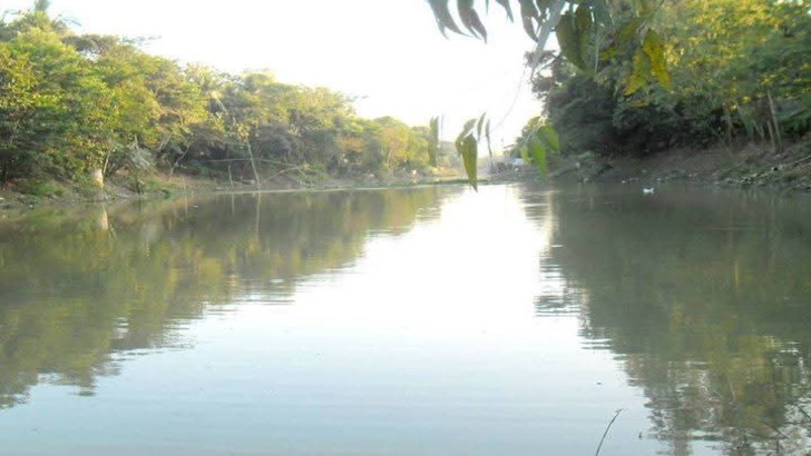 ছবি: নিউজ এক্সপ্রেস