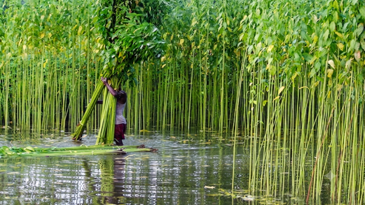 সংগৃহীত