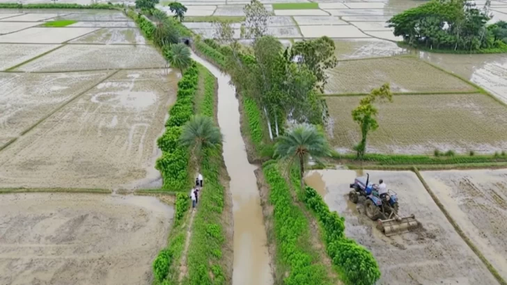 সংগৃহীত
