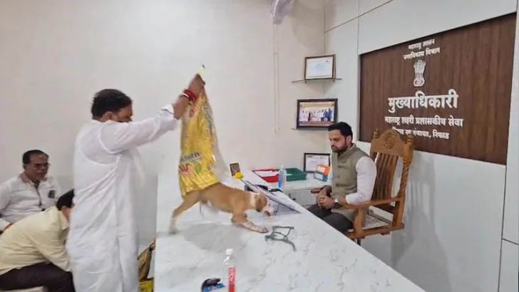 সংগৃহীত