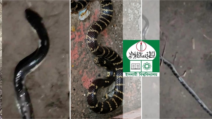 নিউজ এক্সপ্রেস