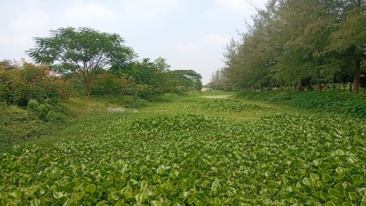ছবি: নিউজ এক্সপ্রেস