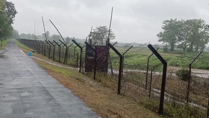 সংগৃহীত