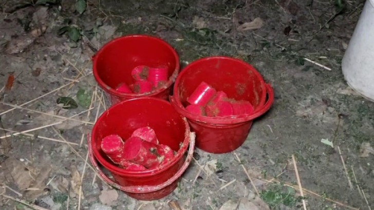 সংগৃহীত