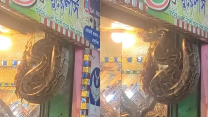 ছবি: সংগৃহীত